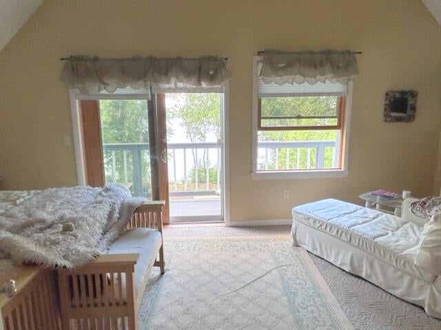 7430 Kauffman Road Presque Isle, MI 49777 - Photo 29 of 85 Gallery Image 29