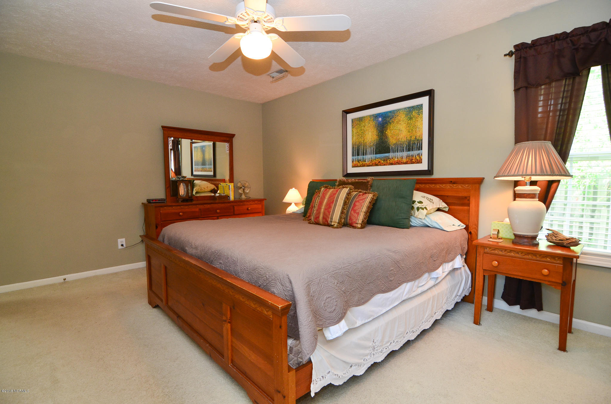 4533 Alder Ridge Road Wilmington, NC 28412 - Photo 10 of 55 DSC_3795-2