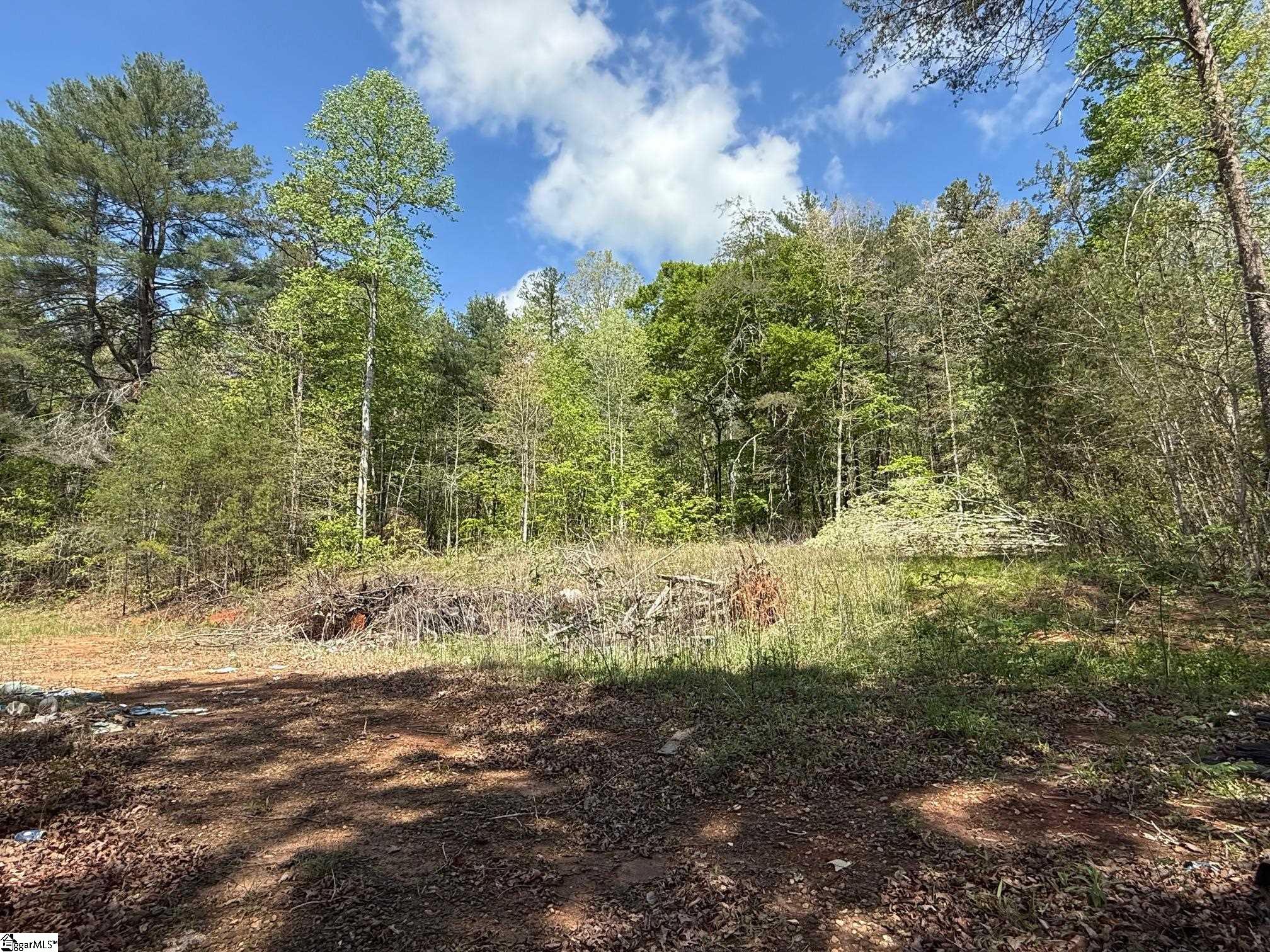 2502 Table Rock Road Pickens, SC 29671 - Photo 3 of 4