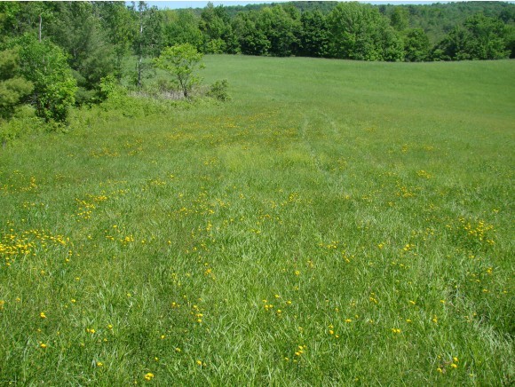 1 Sayers Road Fair Haven, VT 05743 - Photo 3 of 14