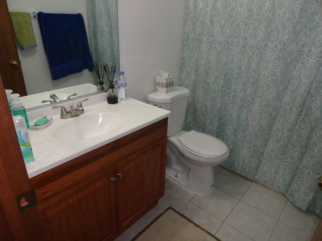 485 Parkside Drive Carol Stream, IL 60188 - Photo 8 of 15