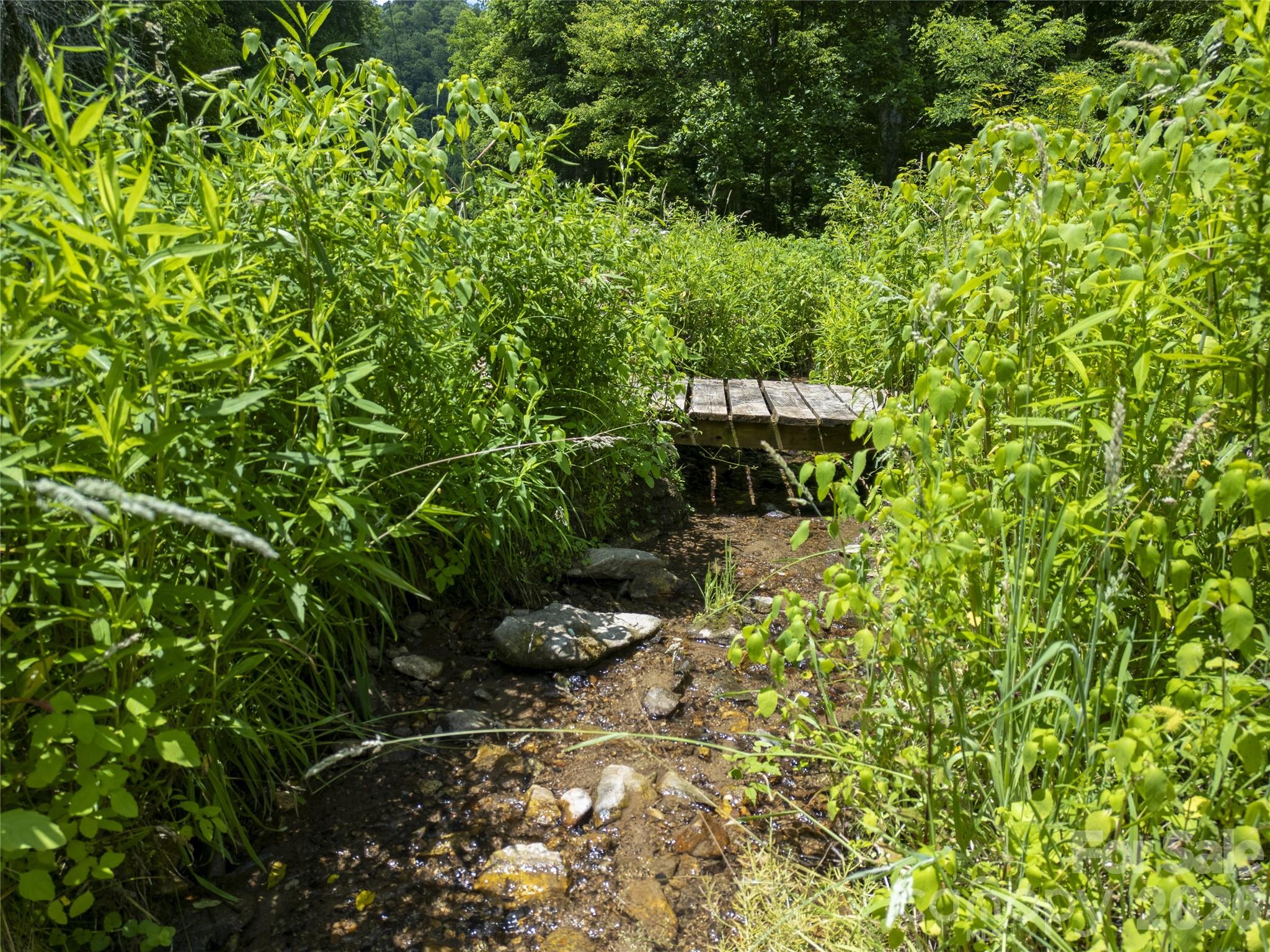 168 Smith Creek Road Mars Hill, NC 28754 - Photo 22 of 46