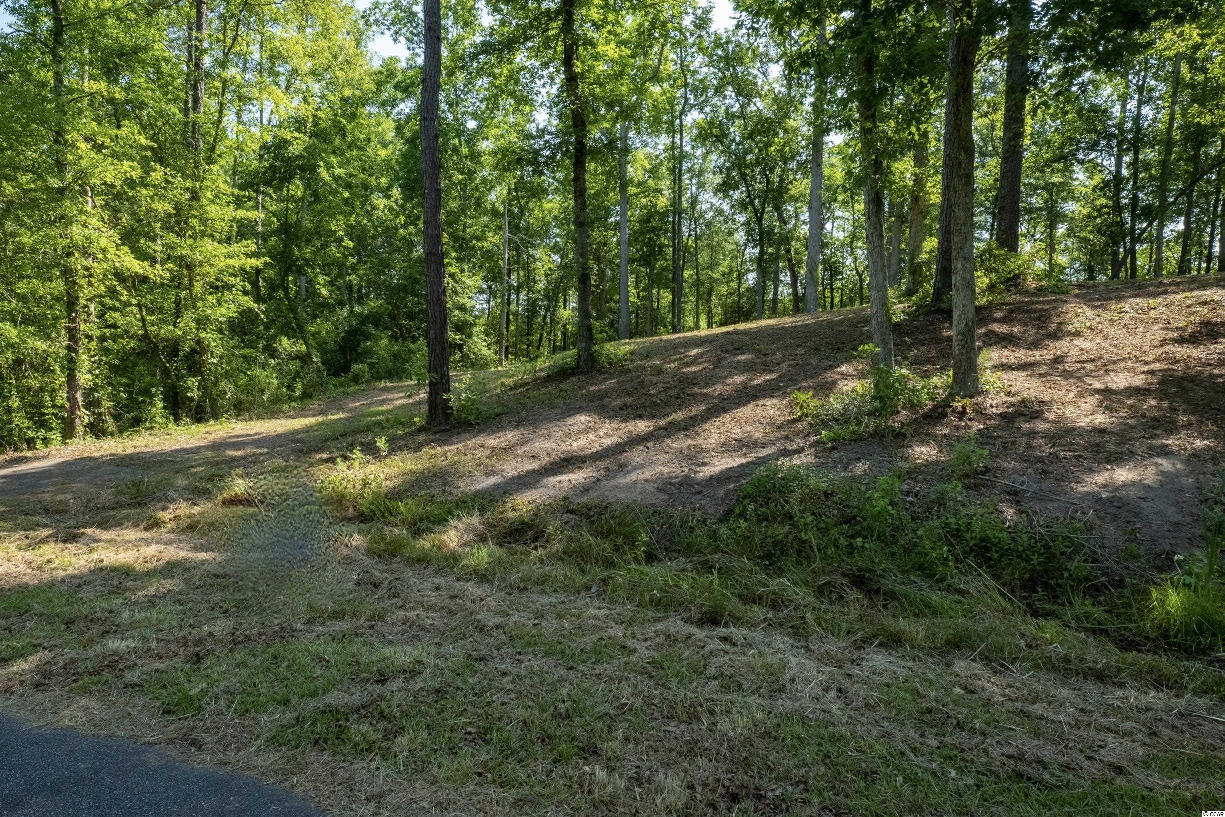 Tbd Francis Marion Drive Georgetown, SC 29440 - Photo 3 of 28