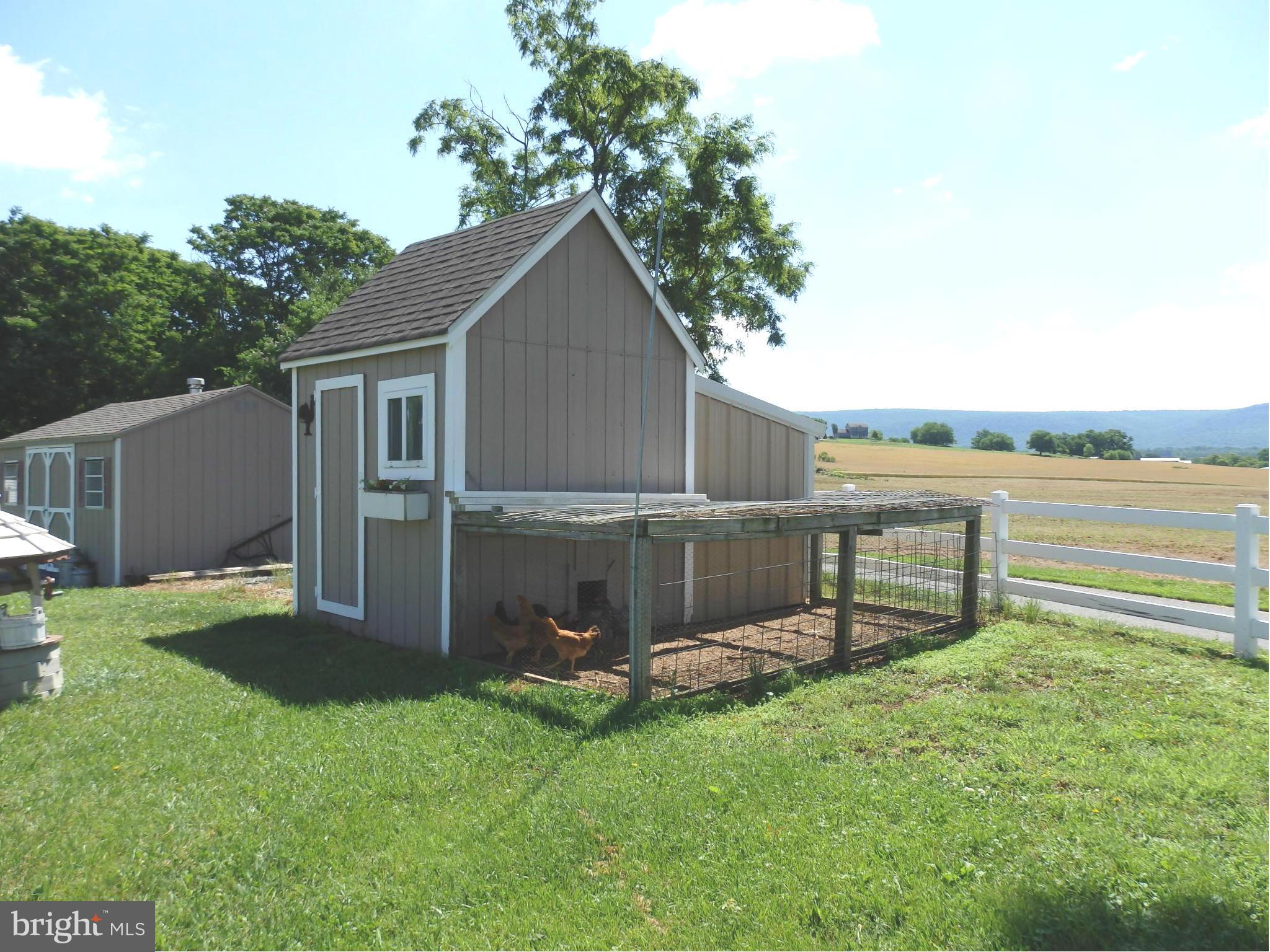 10529 White Hall Road Hagerstown, MD 21740 - Photo 26 of 29 Poultry shed - meet the ladies!