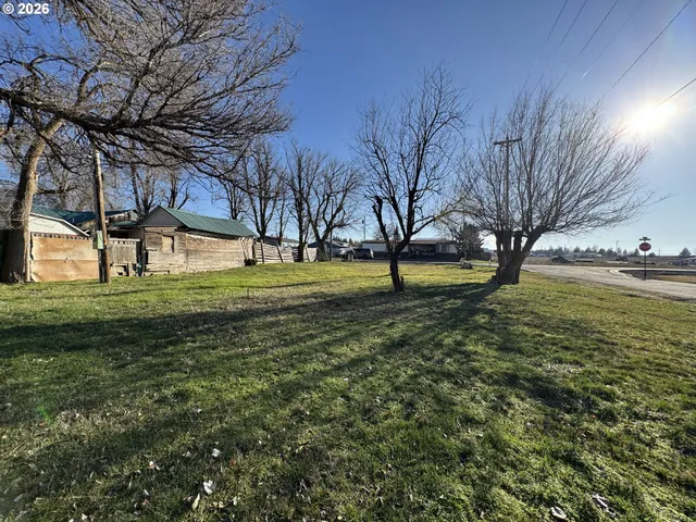 a view of a park with large trees