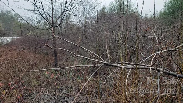 $125,000 | 0 Greenville Highway, Brevard, NC 28712