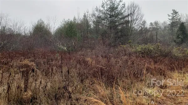 $125,000 | 0 Greenville Highway, Brevard, NC 28712