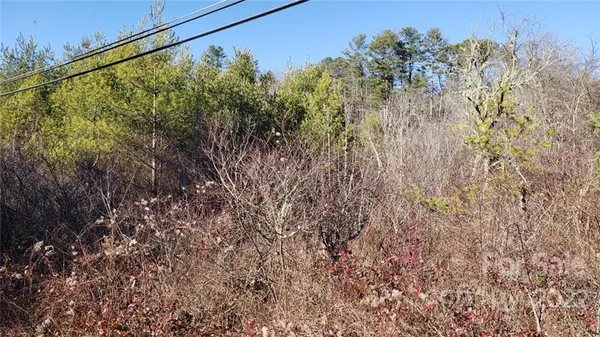 $125,000 | 0 Greenville Highway, Brevard, NC 28712