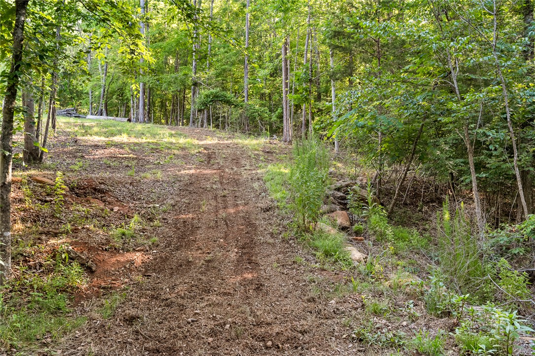 75 Hidden Acres Trail Pelzer, SC 29669 - Photo 17 of 32