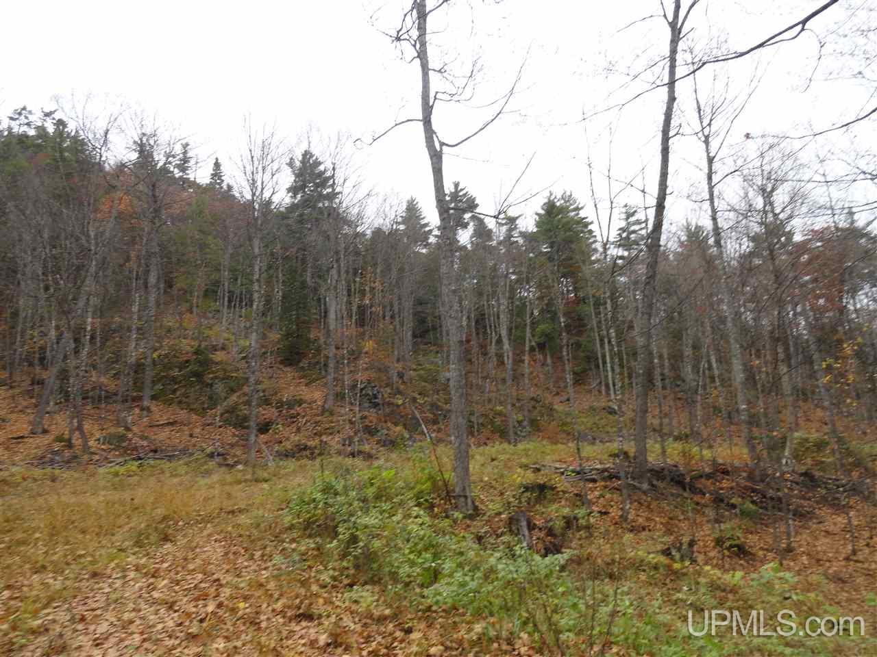 80-acres Co Rd Gga (aka Red Road Champion, MI 49849 - Photo 23 of 26