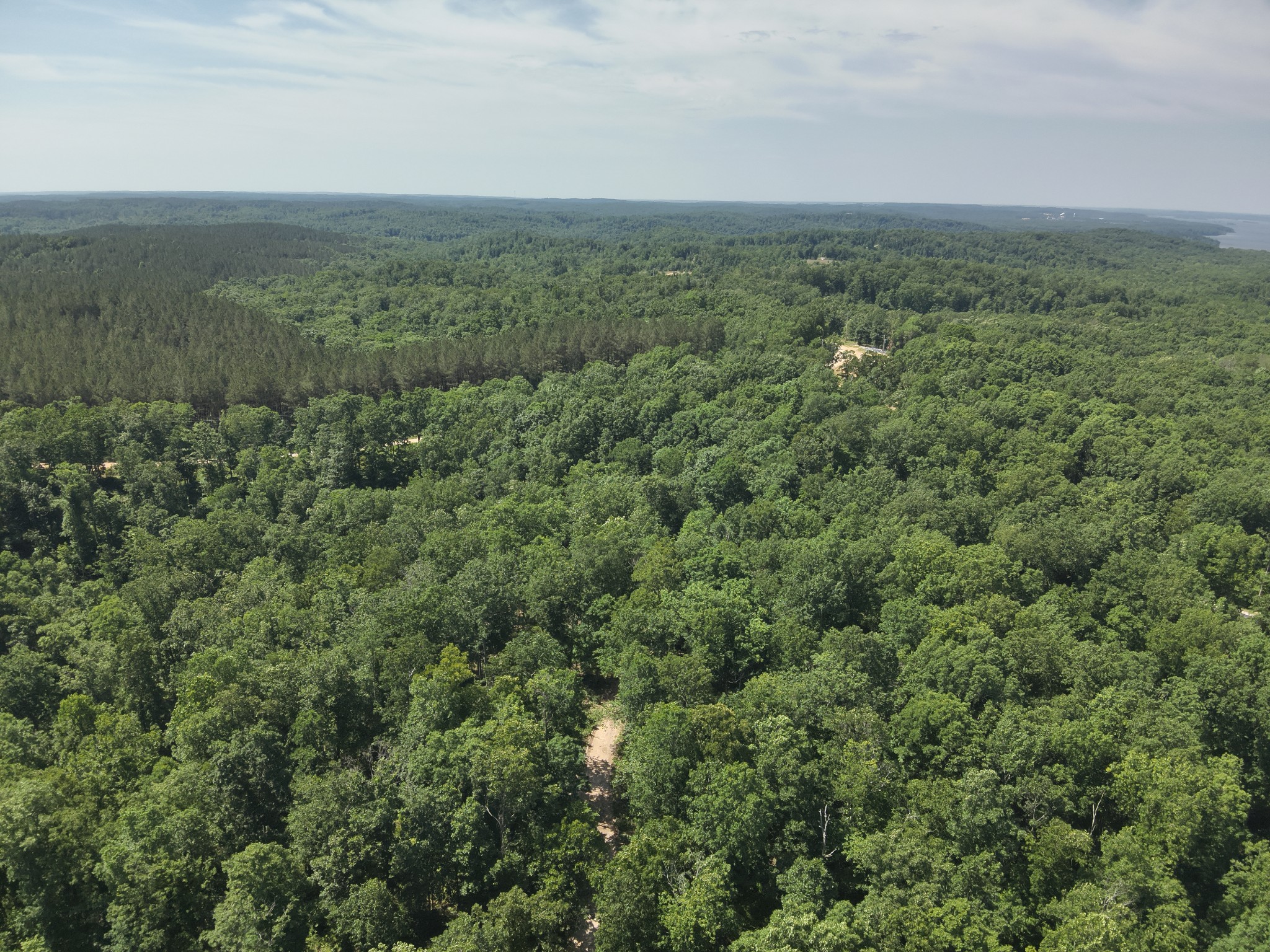 0 Bear Creek Road Waverly, TN 37185 - Photo 17 of 35 a view of a green field with an oven