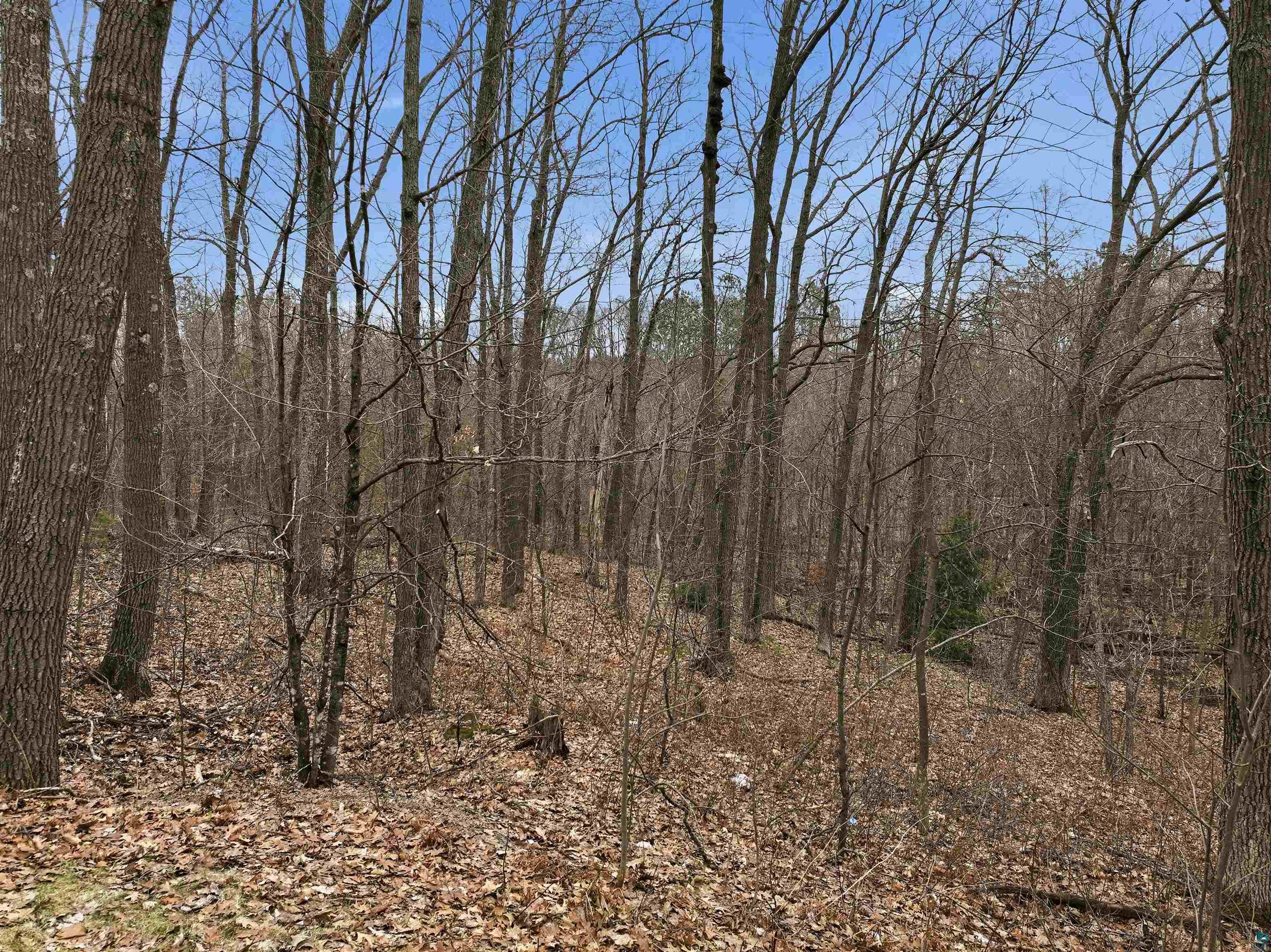 5714 North Mutters Road Stone Lake, WI 54876 - Photo 29 of 39