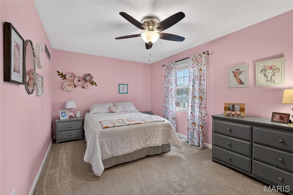 709 Winding Path Lane Ballwin, MO 63021 - Photo 18 of 28