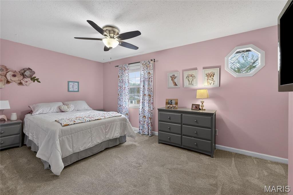 709 Winding Path Lane Ballwin, MO 63021 - Photo 19 of 28