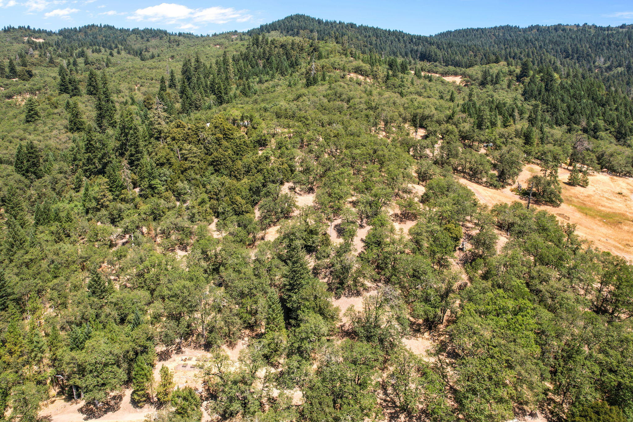 4580 County Line Creek Road Mad River, CA 95552 - Photo 12 of 39