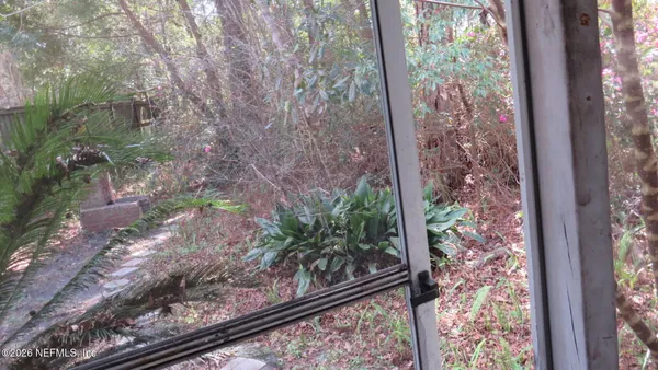 a view of a yard from a window