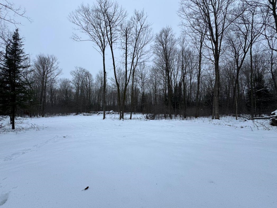 W17810 Eland Road Wittenberg, WI 54499 - Photo 33 of 70