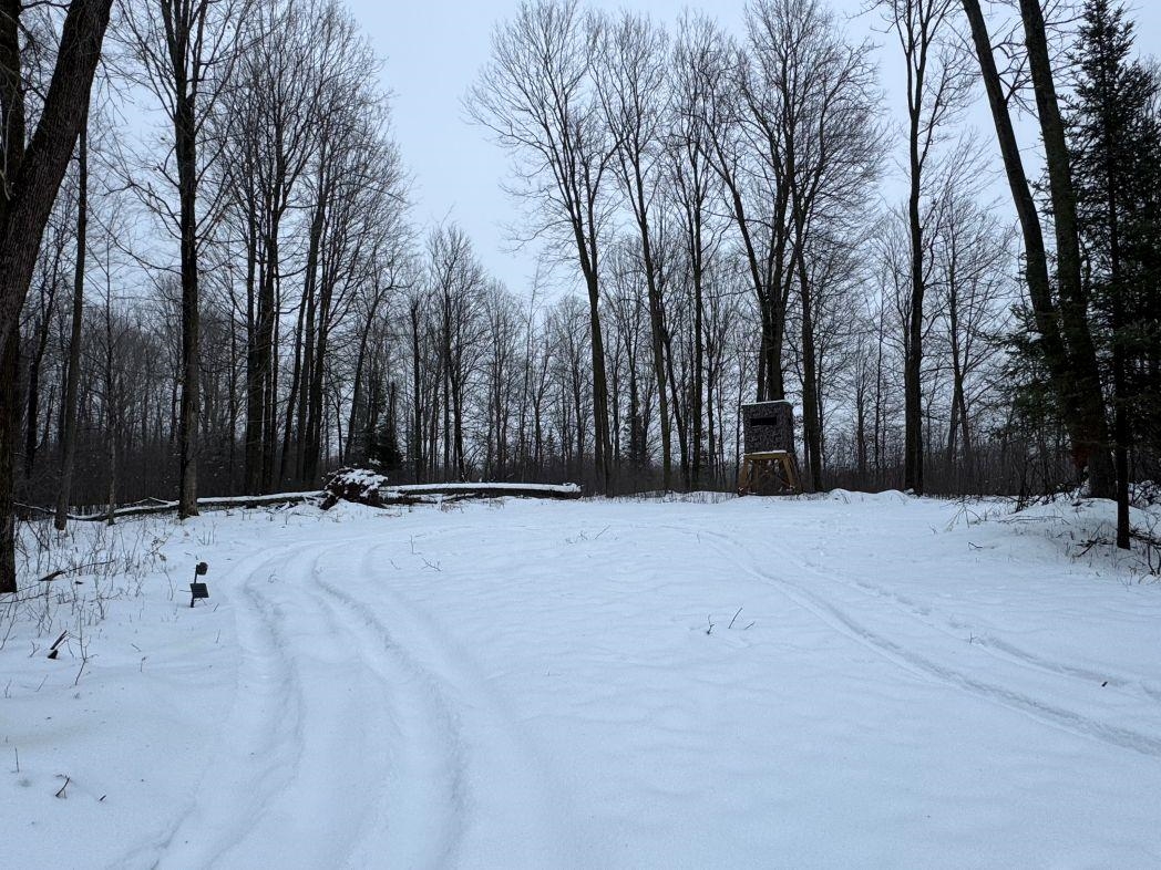 W17810 Eland Road Wittenberg, WI 54499 - Photo 35 of 70