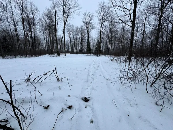 $575,000 | W17810 Eland Road, Wittenberg, WI 54499