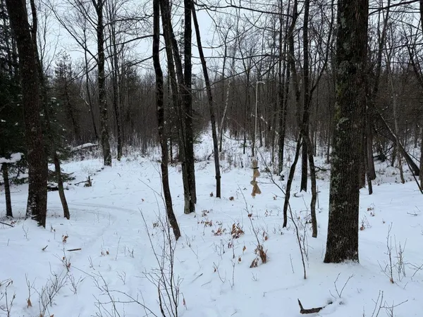 $575,000 | W17810 Eland Road, Wittenberg, WI 54499