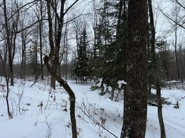$575,000 | W17810 Eland Road, Wittenberg, WI 54499