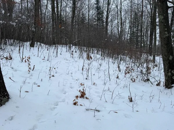 $575,000 | W17810 Eland Road, Wittenberg, WI 54499