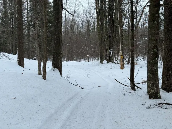 $575,000 | W17810 Eland Road, Wittenberg, WI 54499