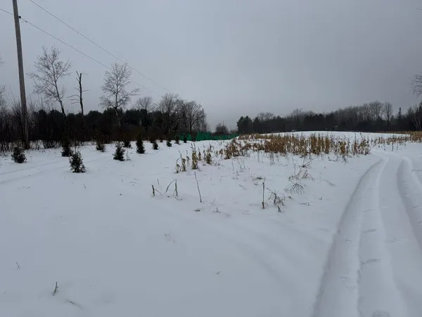 $575,000 | W17810 Eland Road, Wittenberg, WI 54499