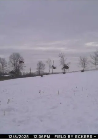 $575,000 | W17810 Eland Road, Wittenberg, WI 54499