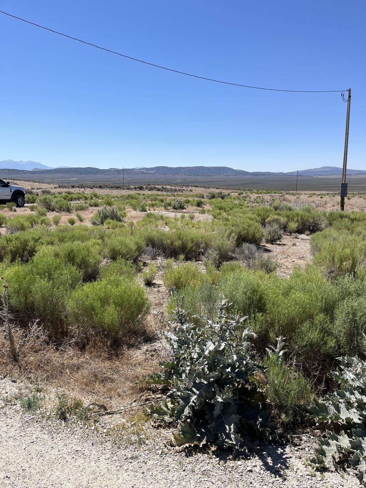 3439 Sandhill Street Spring Creek, NV 89815 - Photo 6 of 7
