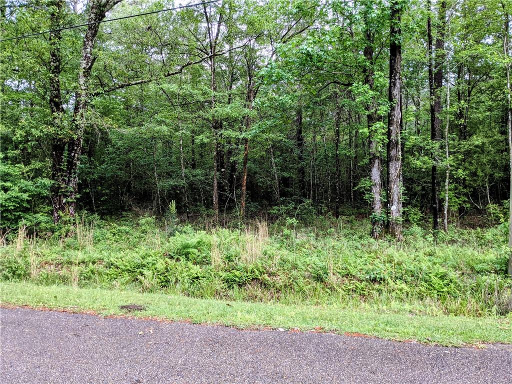 0 Jones Road Covington, LA 70435 - Photo 3 of 6