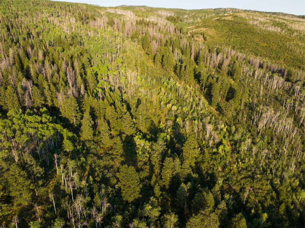 0 Coffee Pot Road Gypsum, CO 81637 - Photo 24 of 50