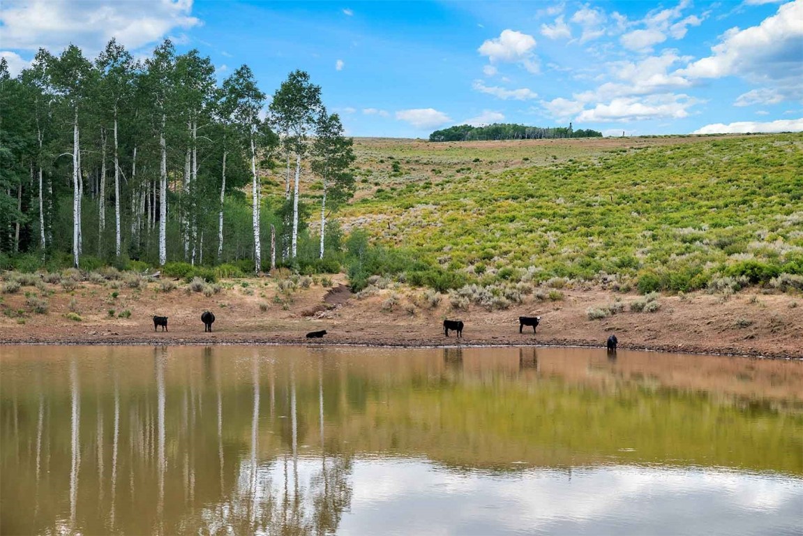 0 Coffee Pot Road Gypsum, CO 81637 - Photo 27 of 50