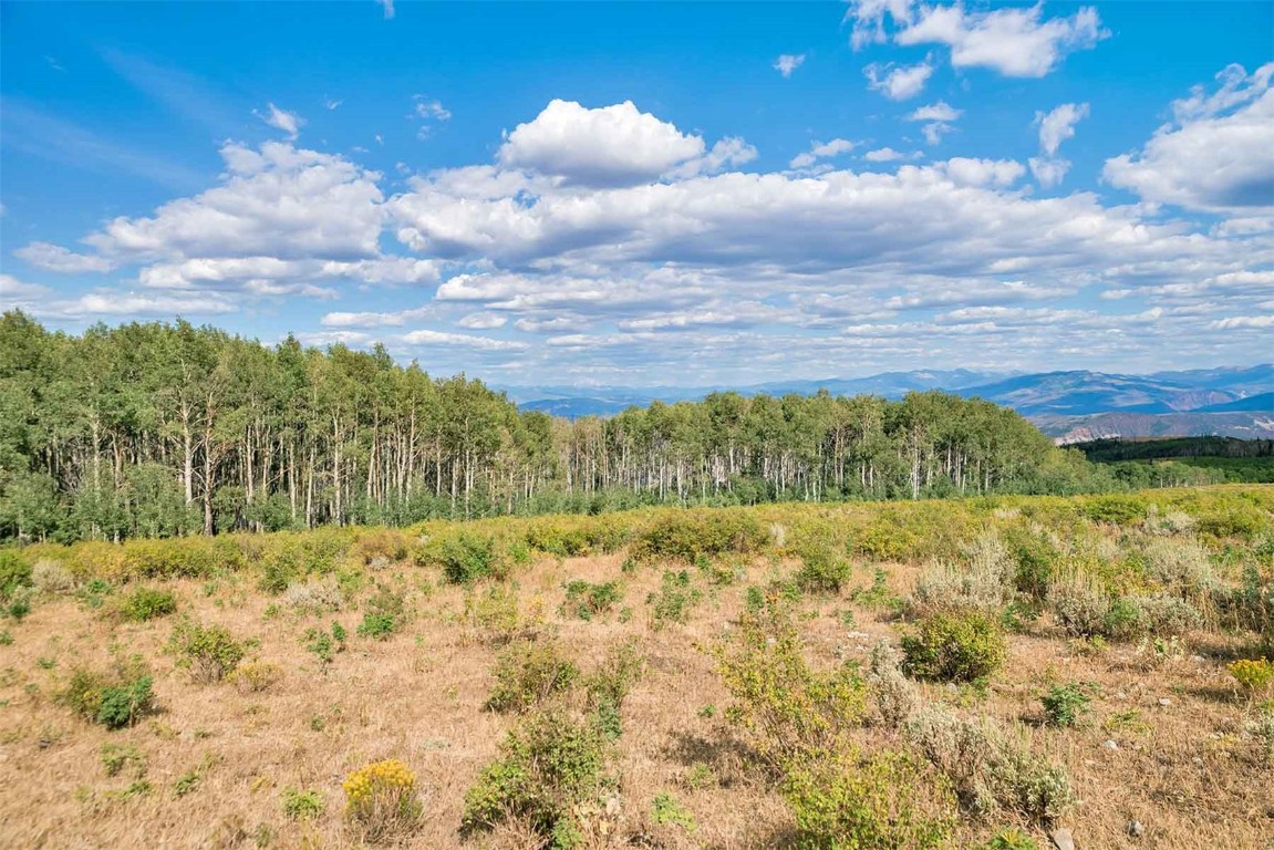0 Coffee Pot Road Gypsum, CO 81637 - Photo 28 of 50