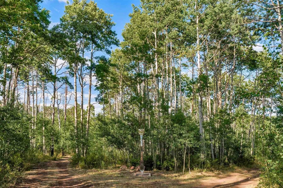 0 Coffee Pot Road Gypsum, CO 81637 - Photo 38 of 50