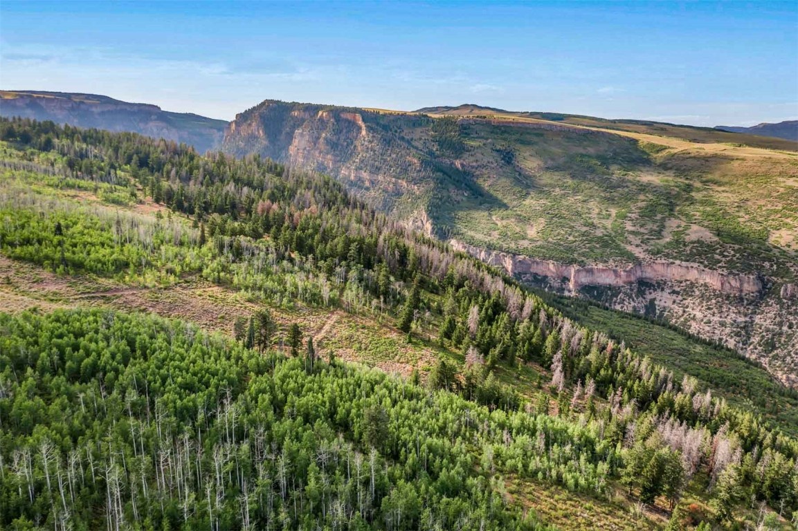 0 Coffee Pot Road Gypsum, CO 81637 - Photo 4 of 50