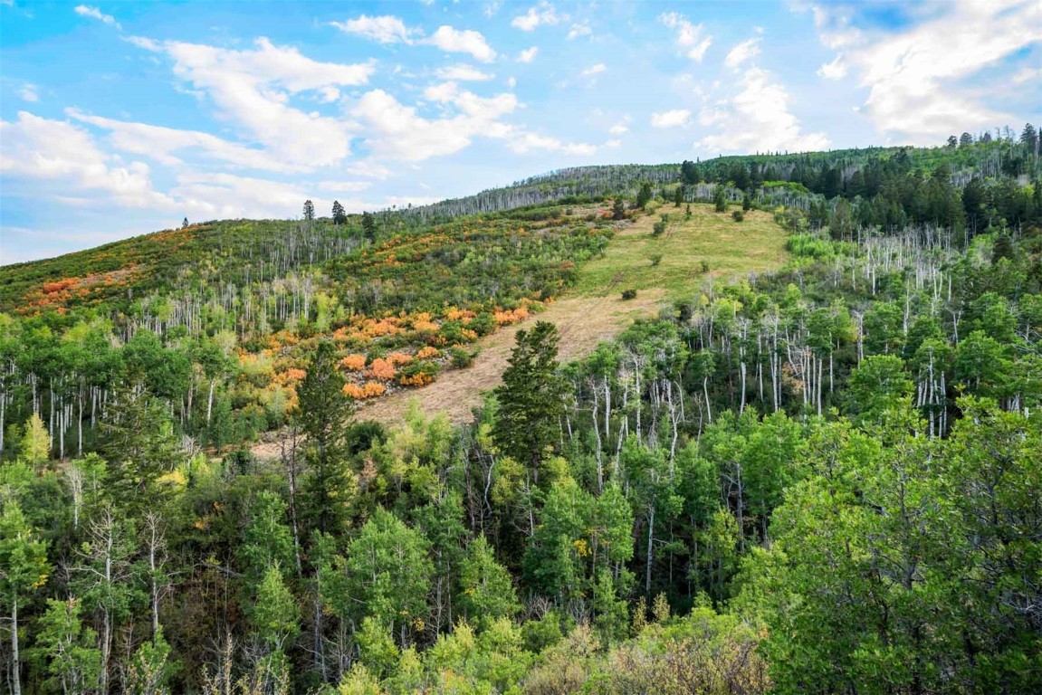 0 Coffee Pot Road Gypsum, CO 81637 - Photo 6 of 50