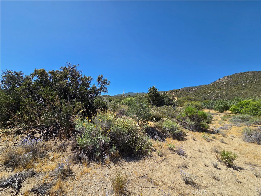 37210 Bohlen Road Anza, CA 92539 - Photo 10 of 22