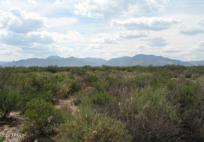 311 South Noland Road San Simon, AZ 85632 - Photo 7 of 9 311 N Noland RD