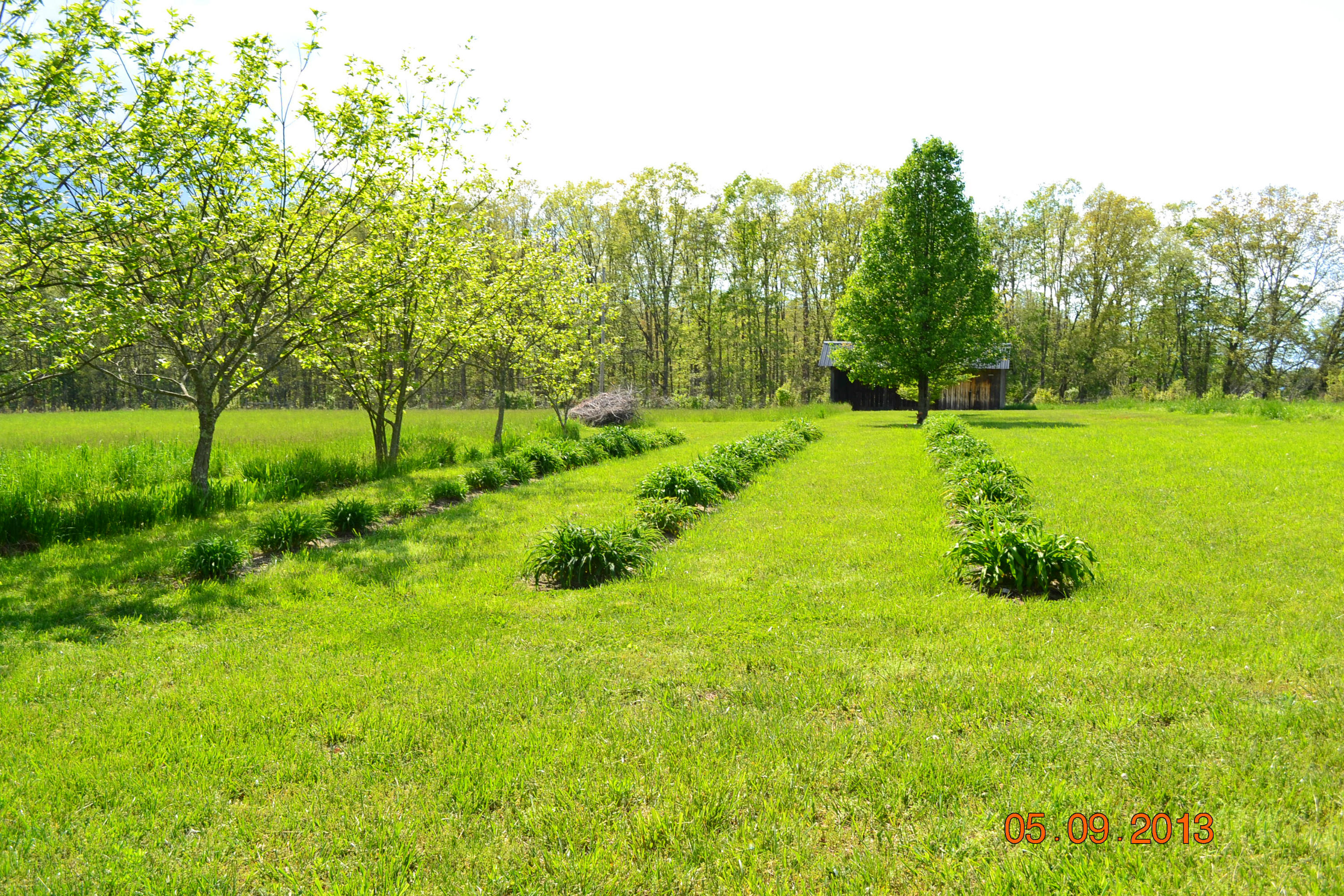 925 John Kilby Road Clarkrange, TN 38553 - Photo 17 of 26 DSC_0686