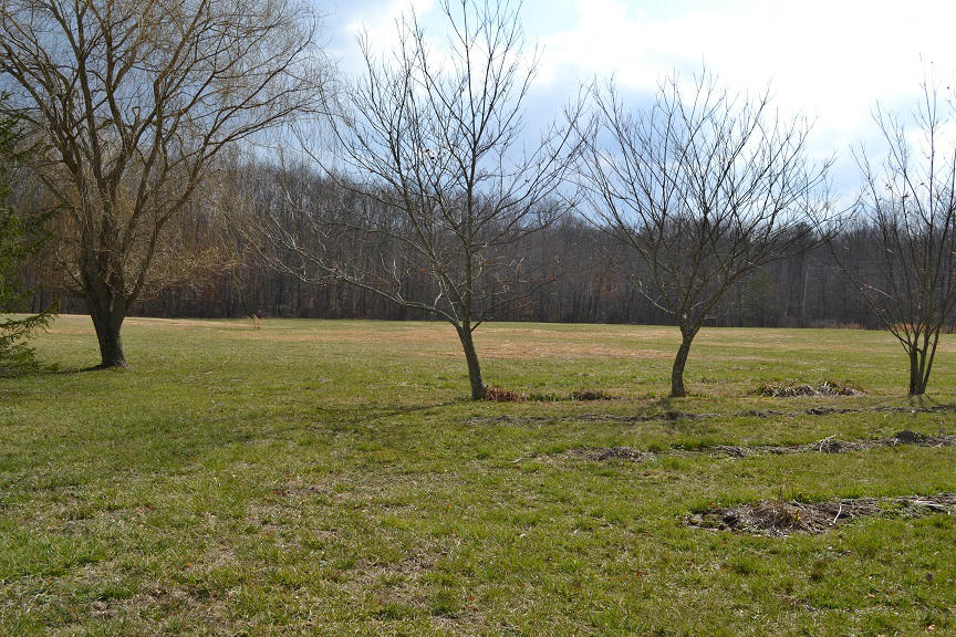 925 John Kilby Road Clarkrange, TN 38553 - Photo 21 of 26 DSC_0295