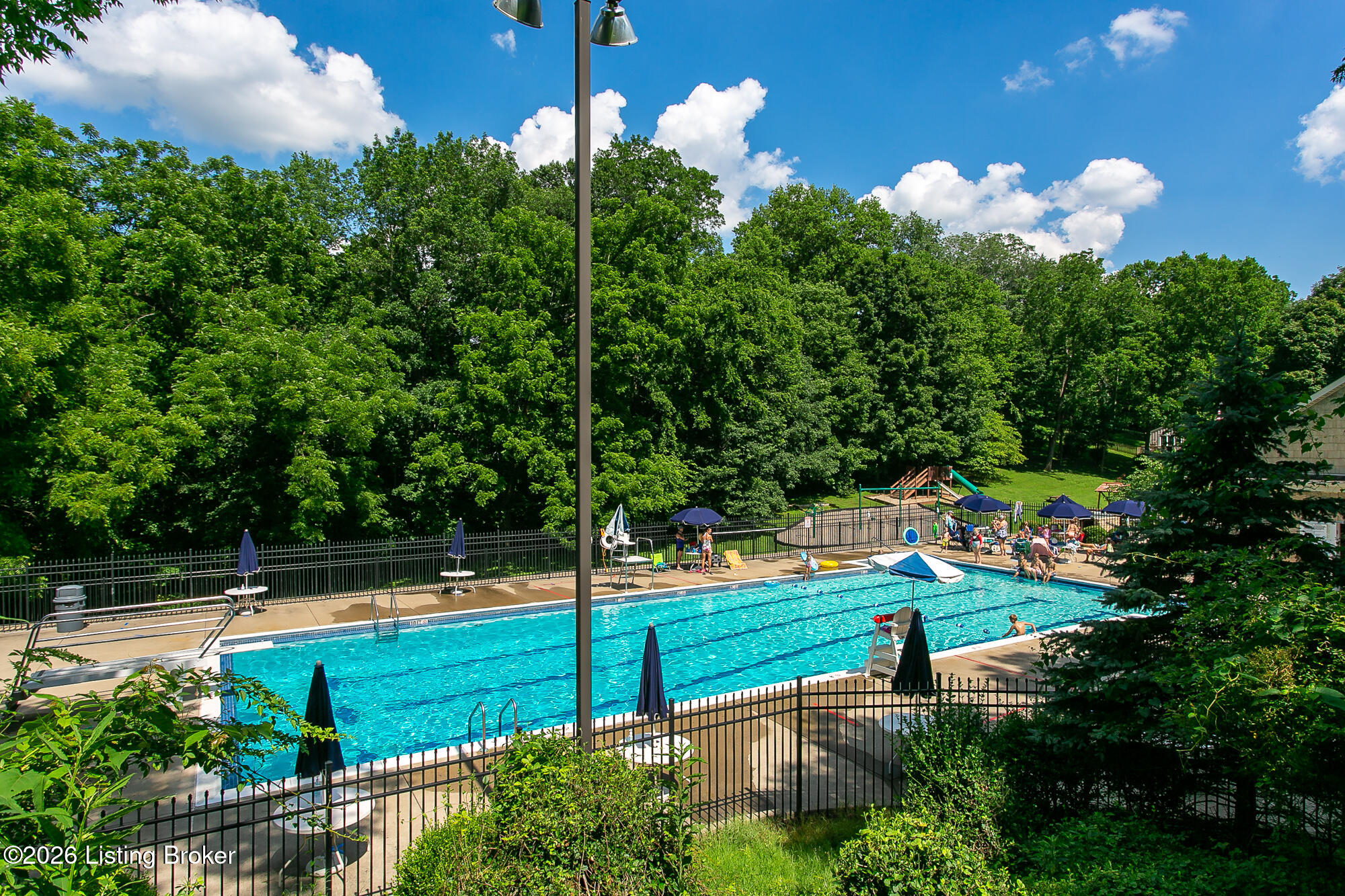 3907 Burning Bush Road Louisville, KY 40241 - Photo 52 of 59 BF Pool best