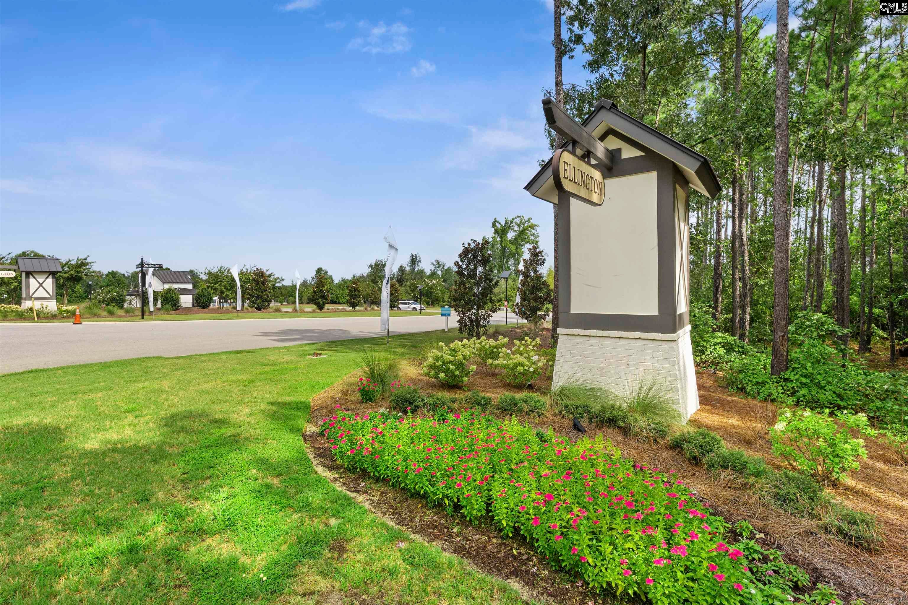 729 Long Star Way Elgin, SC 29045 - Photo 43 of 48 Gallery Image 43