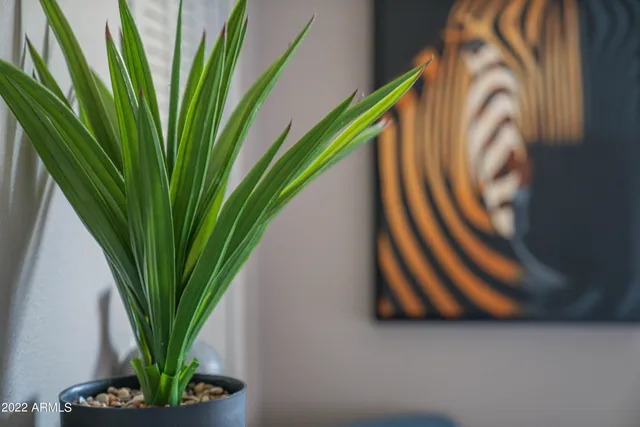 $4,500 | 6110 East Edgemont Avenue, Scottsdale, AZ 85257