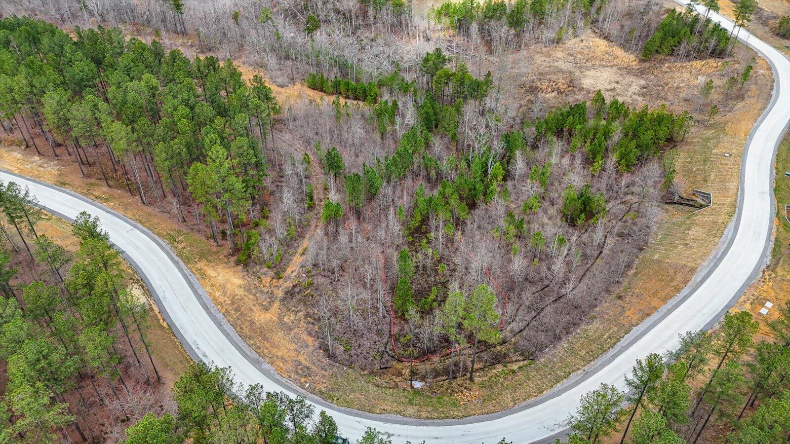 0 Birds Eye Way, Unit LOT 1065 Guild, TN 37340 - Photo 4 of 29 10-Birds Eye Way #1065-10
