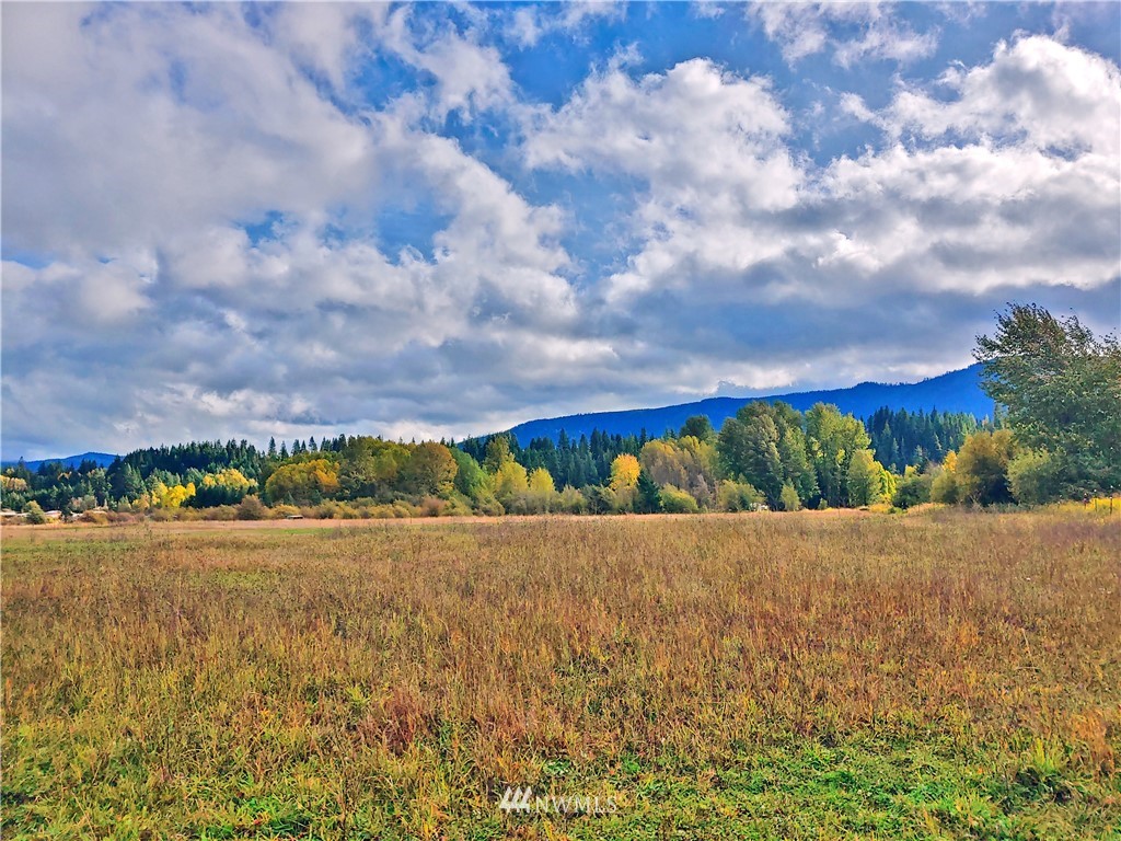 25 Three Lakes Road Cle Elum, WA 98922 - Photo 1 of 18 Gallery Image 1