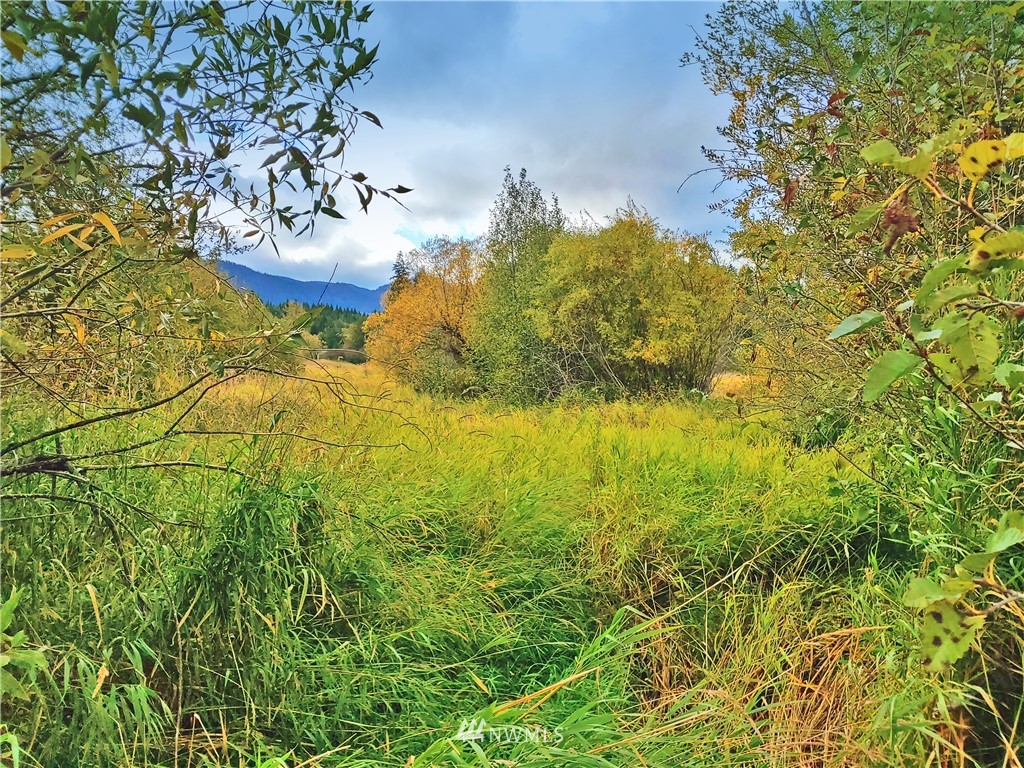 25 Three Lakes Road Cle Elum, WA 98922 - Photo 9 of 18 Gallery Image 9