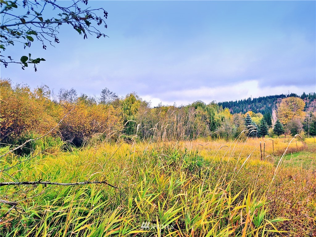 25 Three Lakes Road Cle Elum, WA 98922 - Photo 10 of 18 Gallery Image 10
