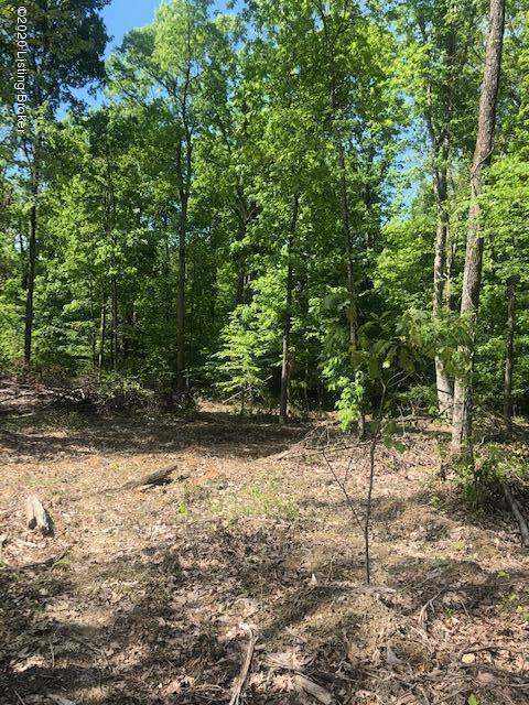 0 Wilson Road Lebanon Junction, KY 40150 - Photo 1 of 6 Lot