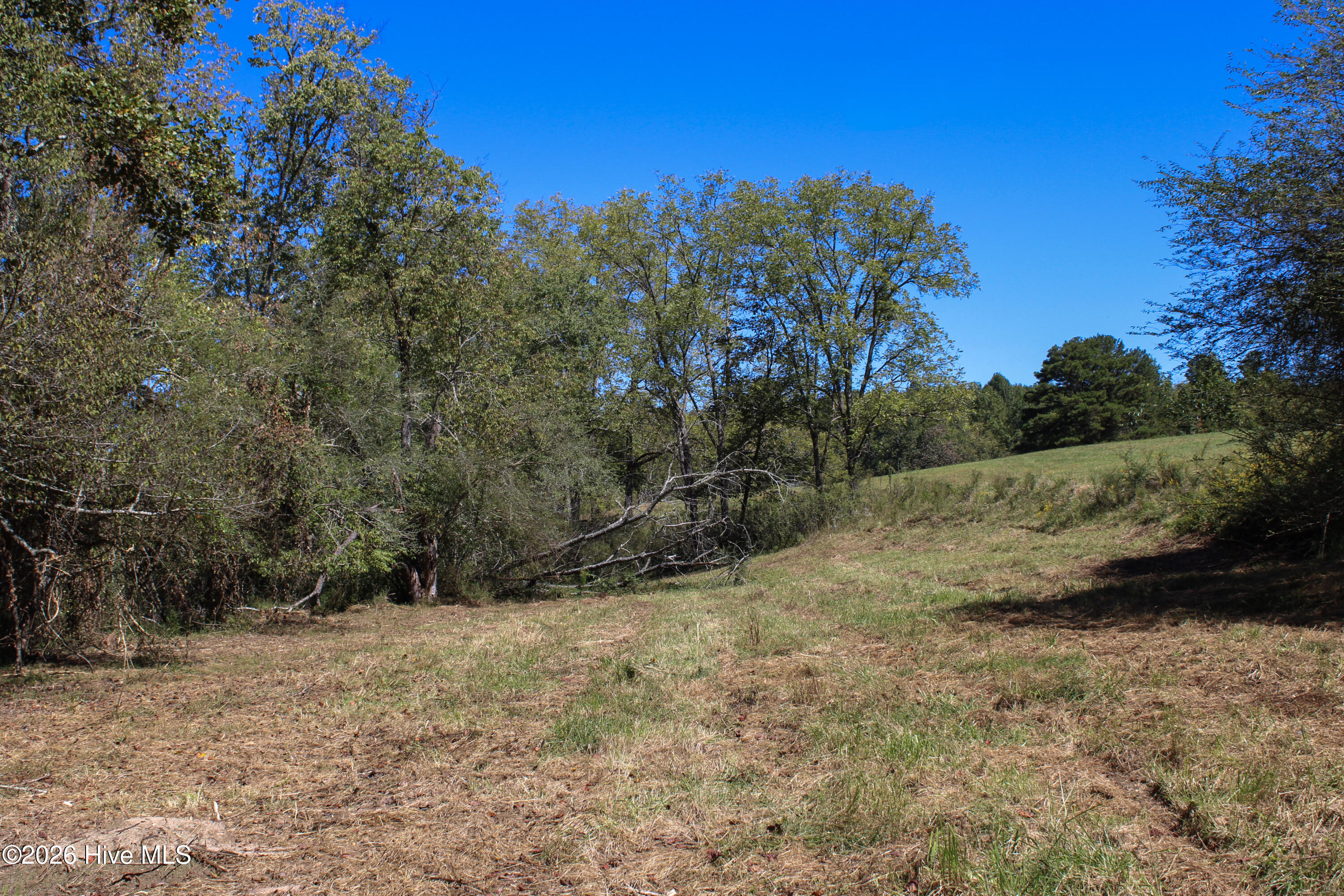 0 West Gum Log Road Warne, NC 28909 - Photo 20 of 26 IMG_6170